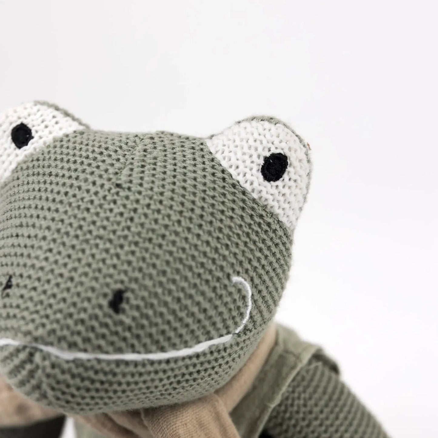 Jeremy de kikker - Katoenen knuffel met rammelaar - Egmont Toys