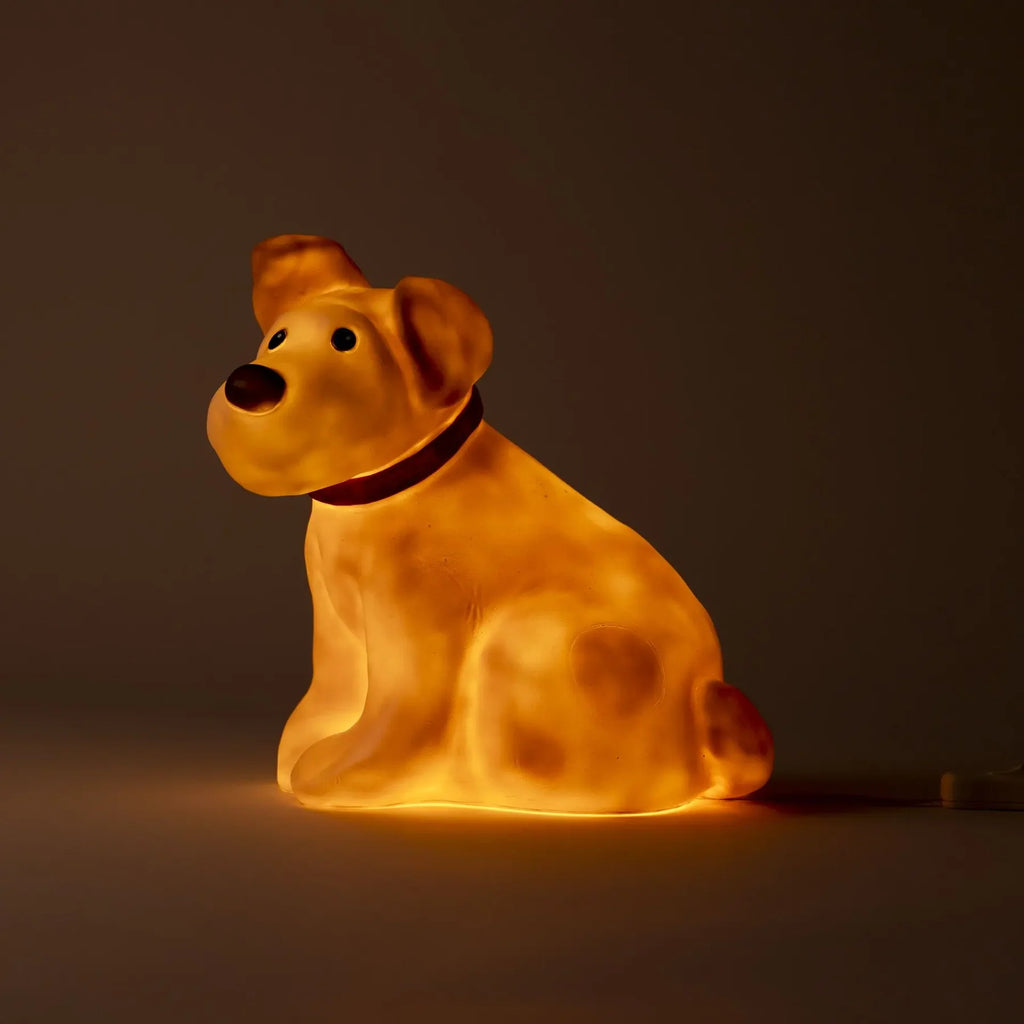 Nachtlicht Hund Eliot – Handbemaltes LED-Nachtlicht – Egmont Toys