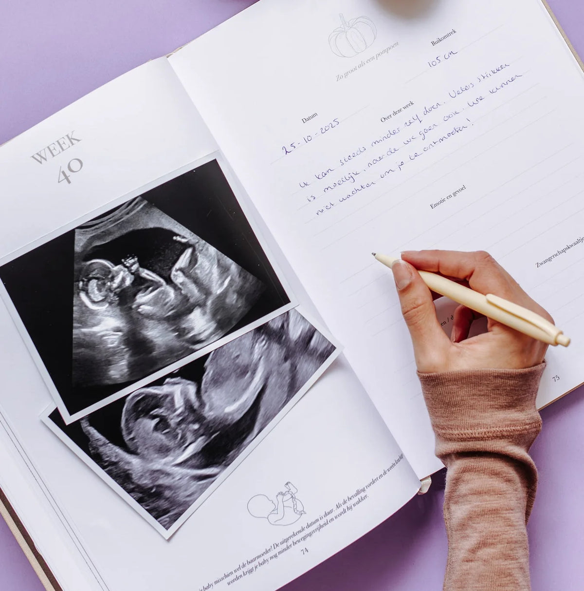 Het begin van jouw leven – All-in-one Schwangerschafts- und Baby-Erinnerungsbuch von 0 bis 1 Jahr – Birth Lines